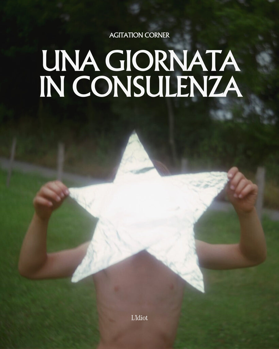 Una giornata in consulenza